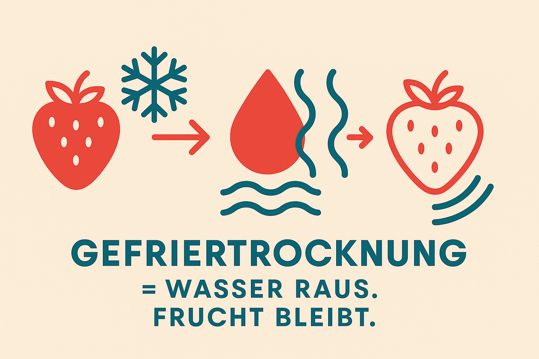 Warum gefriergetrocknet? – Die clevere Art, Frucht zu essen