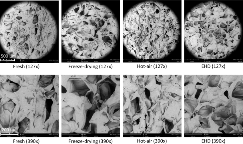 Gefriertrocknung: Warum gefriergetrocknete Fruuna‐Früchte so intensiv duften